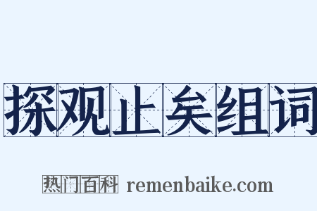 探观止矣组词是什么意思的图片